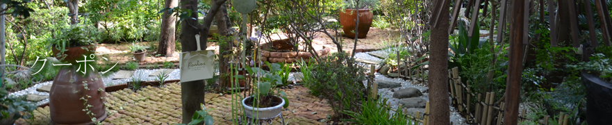 トップイメージ