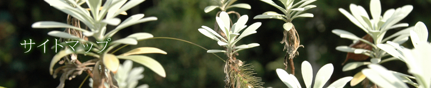 トップイメージ